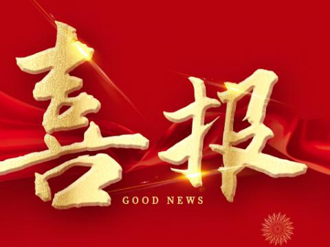 太阳城官网电气荣膺江苏省制造业领航企业